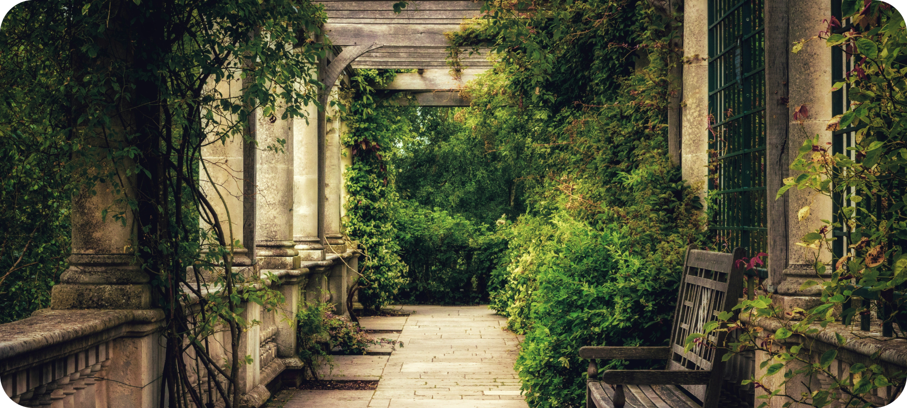 A perfect beautiful garden